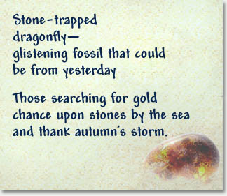 Stone-trapped | dragonfly— | Glistening fossil that could | be from yesterday || Those searching for gold | Stumble on stones by the sea | And thank autumn’s storm.